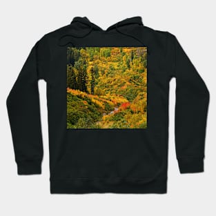 Autumn in Montana Hoodie